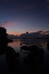 IMG_2018.jpg