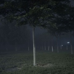 我还活着