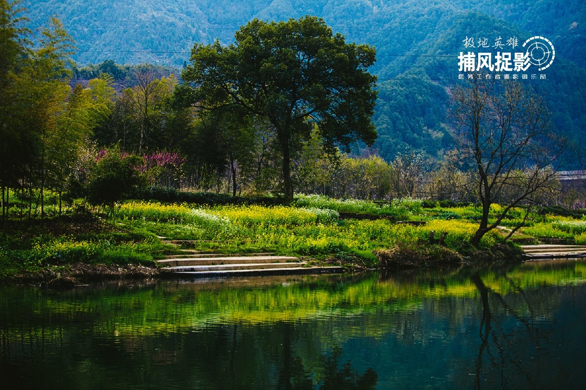 油菜花季节的江西安徽到处充满着美景