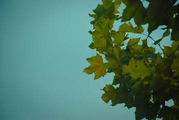 DSC_0136.jpg