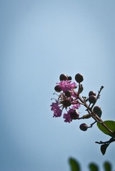 DSC_0137.jpg