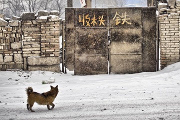 _DSC1729.jpg