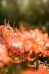IMG_7964.jpg