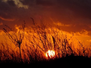 DSCF4990.JPG