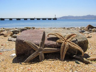 IMG_8556.JPG