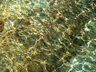 SDC15336.JPG
