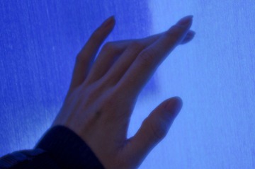 IMGP9311_1.jpg