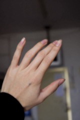IMGP9321_1.jpg