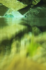 IMGP2654_1.jpg