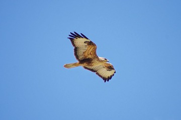 IMGP9544.jpg