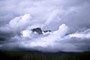 IMGP9871 副本_1.jpg
