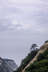 _XYQ2566_1.jpg