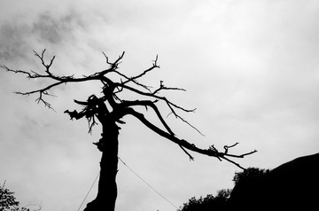_XYQ2647_1.jpg