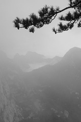 _XYQ2722 副本.jpg