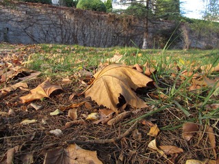 IMG_1516.JPG