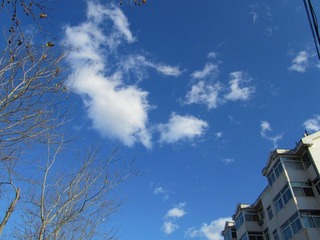 IMG_1459.JPG