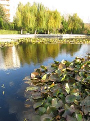 IMG_1501.JPG
