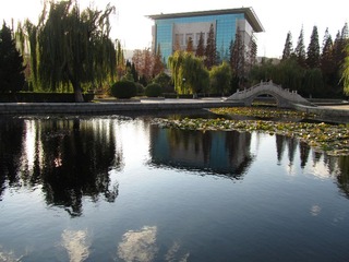 IMG_1509.JPG
