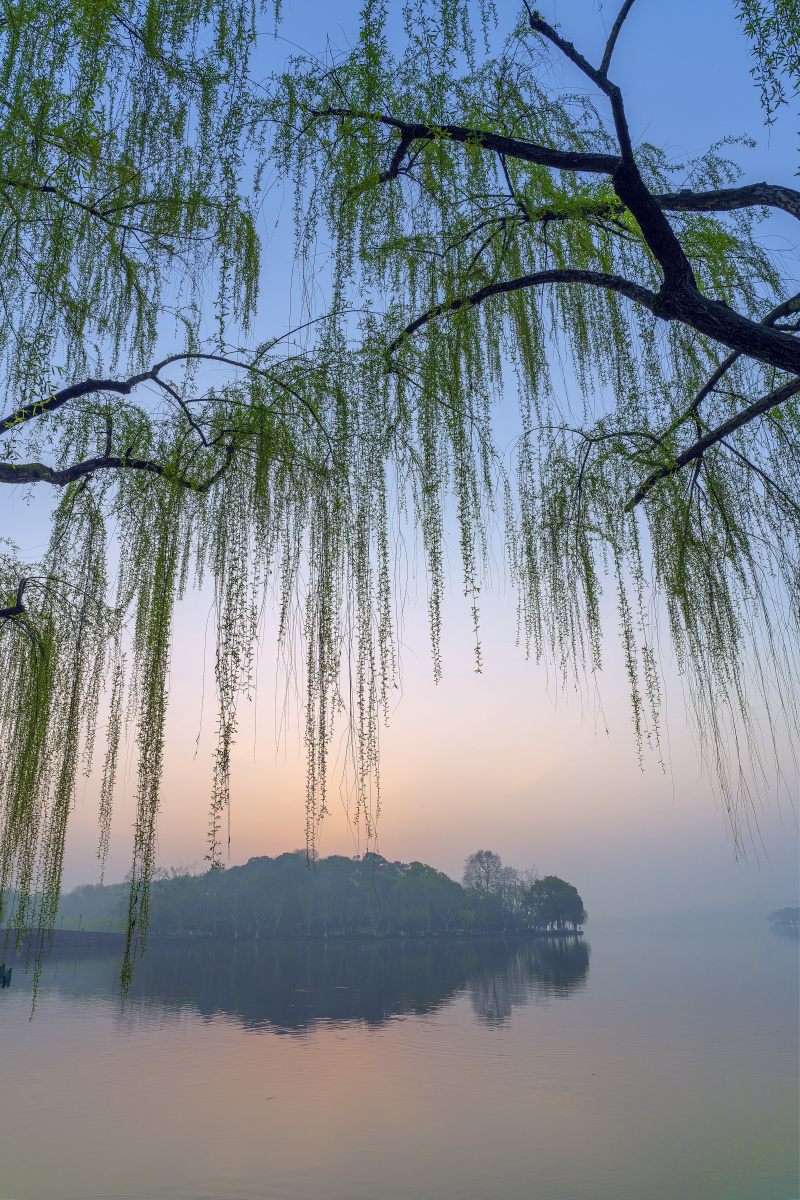 初春的西湖