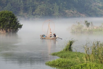 DPP_0080