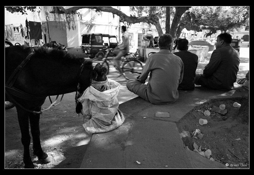 Jaipur<br />