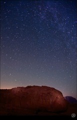 IMG_3664.jpg
