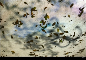IMG_3912.jpg