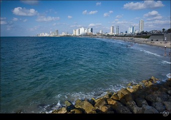 IMG_4028.jpg