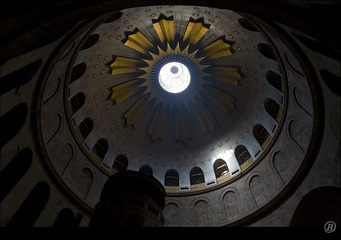 IMG_4460.jpg