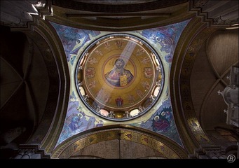 IMG_4463.jpg