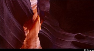 IMG_0206.jpg