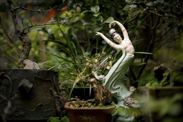 DSC_9407.jpg