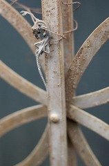DSC_9302.jpg