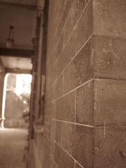 IMG_94222.jpg
