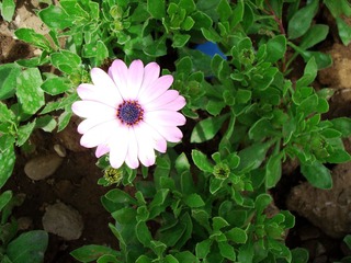 DSC04539