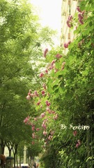 岁月 静好