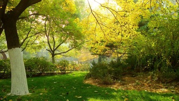 DSC06524-1.jpg