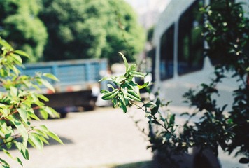 1 (8).jpg