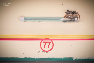"we live at room 77"
