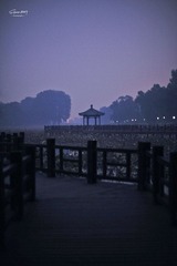 DSC_7470_副本_1_1_1.jpg