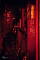DSC_61ssss2_副本.jpg