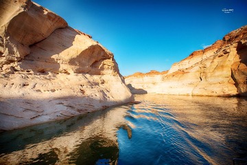 DSC_7ddd951.jpg