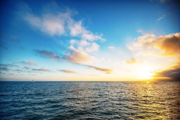 IMG_0803.JPG