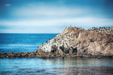DSC_6473.jpg