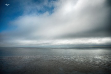 DSC_644723.jpg