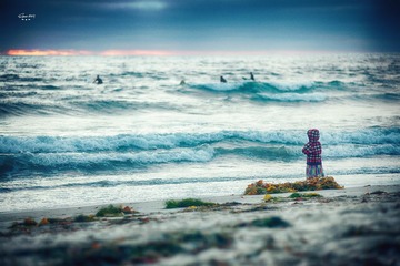 DSC_22227084_
