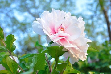 DSC_4885.JPG