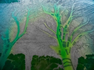 DJI_0142 +
