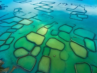 DJI_00901