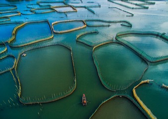 DJI_0040